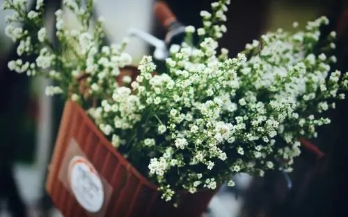 英语早安情话文案短句