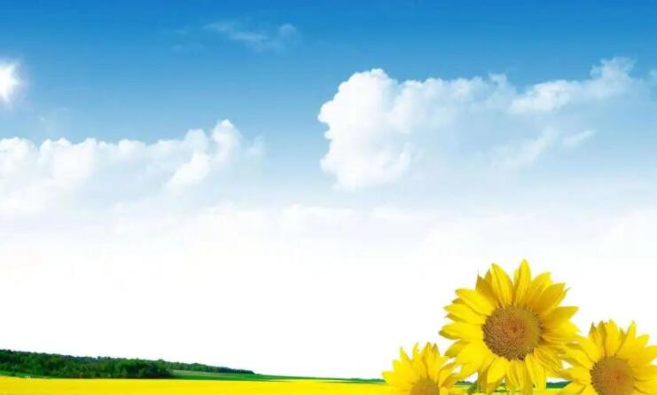 人与人相处太复杂说说文案