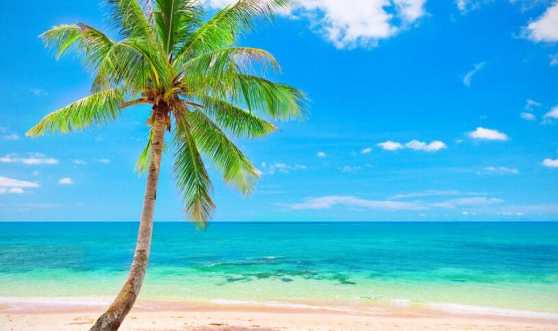 享受海风的句子文案