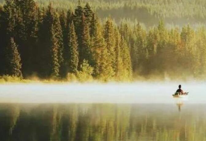 优美段落摘抄100字