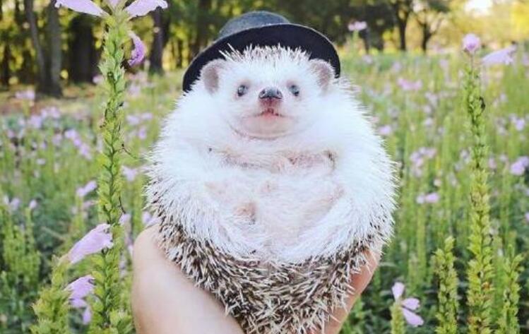 2024年励志早安说说文案