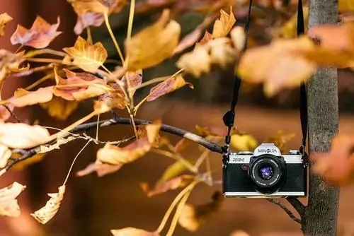 2024经典说说文案适合发朋友圈的