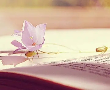 养生心灵鸡汤经典语录文案