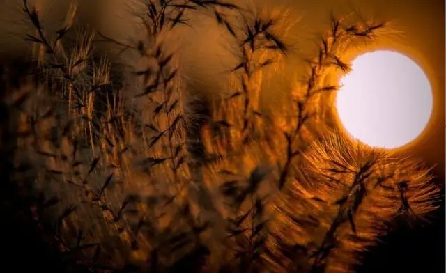 高冷孤傲的唯美句子文案