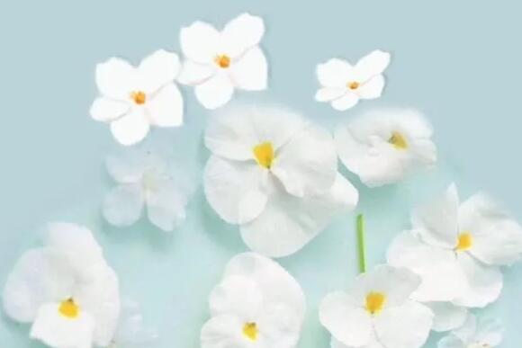 2024年正能量早安朋友圈