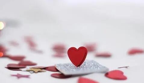 爱情伤心的感悟的句子文案