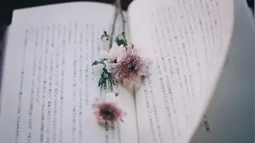 三观超正的干净签名