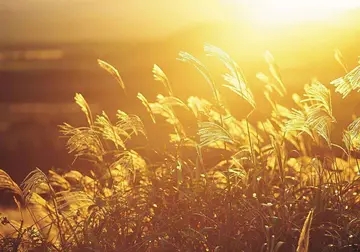 形容九月的诗句文案唯美