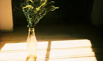 15个字的霸气句子文案