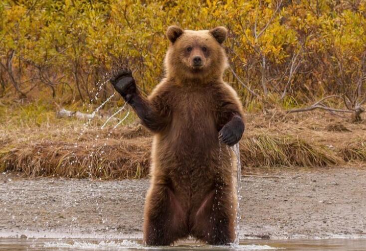 世界问候日的句子文案