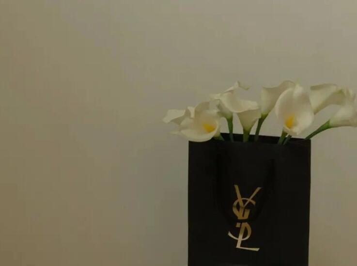 关于坚持的句子文案摘抄