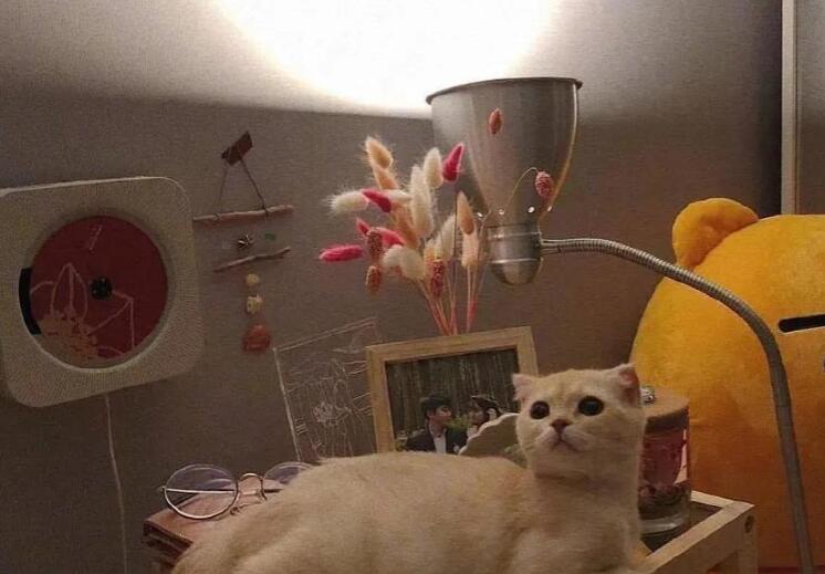 浪漫暖心句子文案说说心情