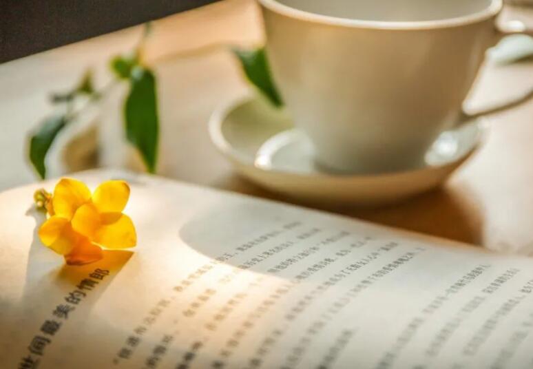 关于读书的好句文案