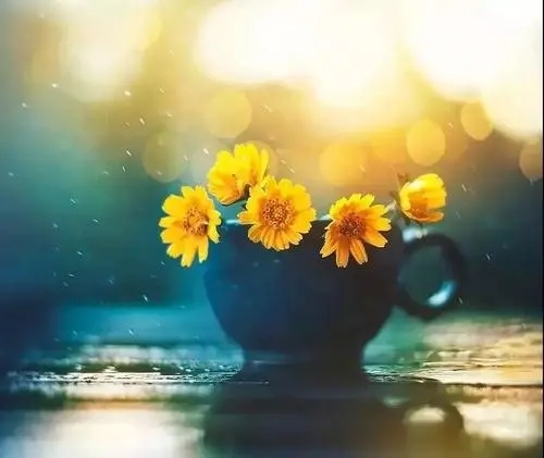 形容很幸福很知足的句子文案