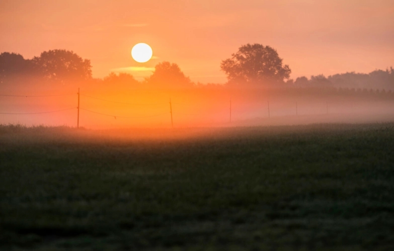 落日余晖的经典句子文案