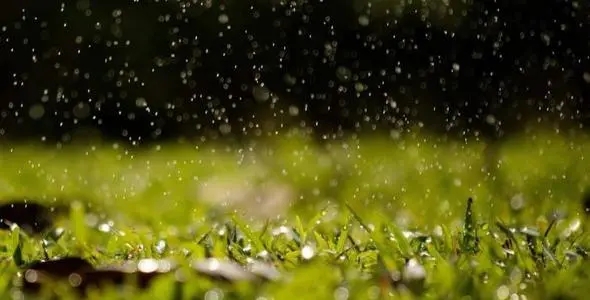 描写雨的开头唯美句子文案