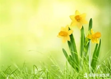 调侃风景的句子文案