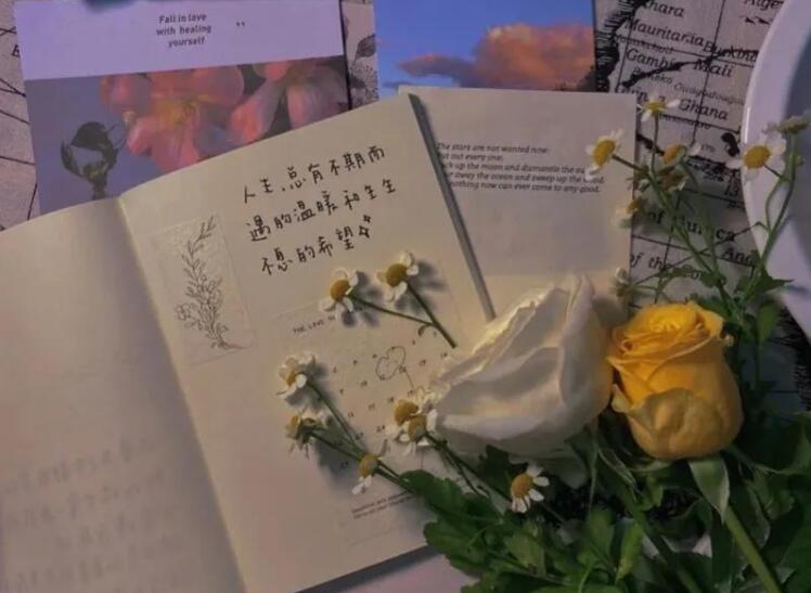 十个字人生感悟话短语