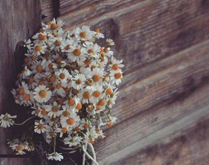 简短好句文案200个