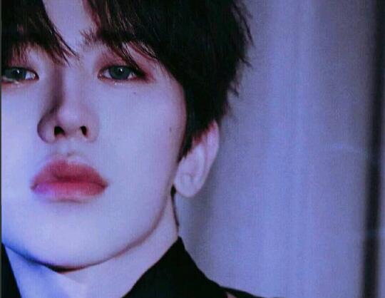 喜欢蔡徐坤的句子文案