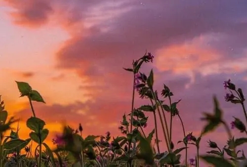 希望一切安好的说说文案