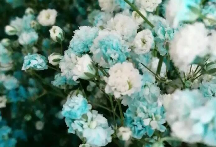 形容无奈和认命的句子文案