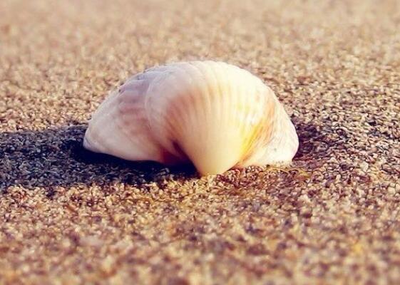 人生正能量的经典短句