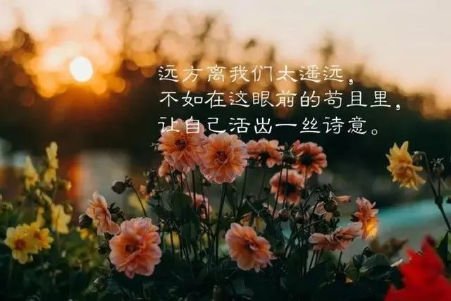 精致生活唯美的句子文案