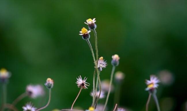 深夜语录文案经典语录文案励志