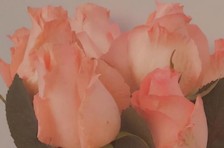 生气的句子文案说说心情