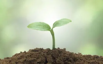 对生命失去希望的句子文案