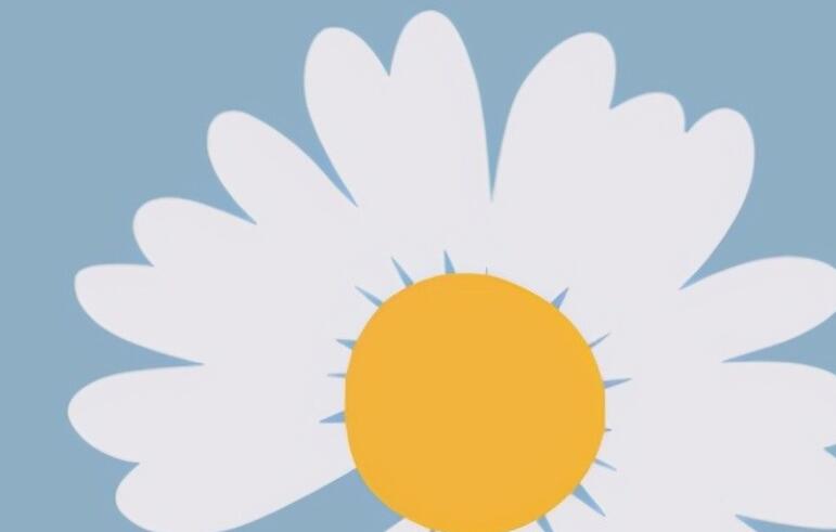 关于坚强的美文摘抄