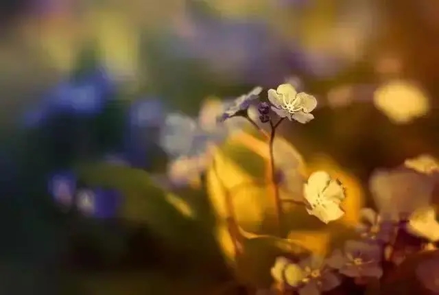 人生苦短经典语录文案