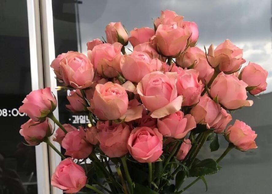 让人加微信的文案