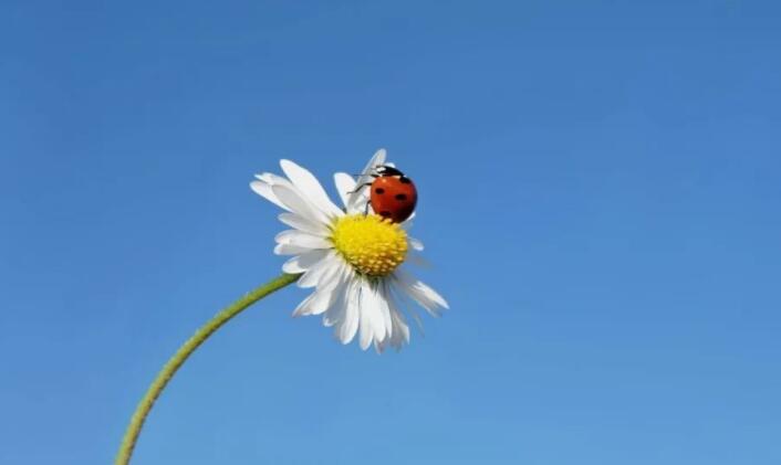 经典励志段落摘抄语录文案