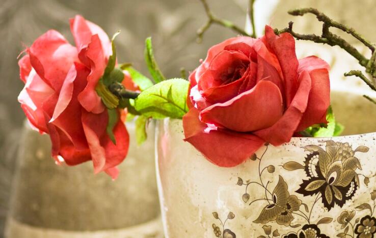 比较高级的土味情话文案