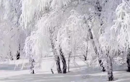 冬至语录文案发朋友圈发短句