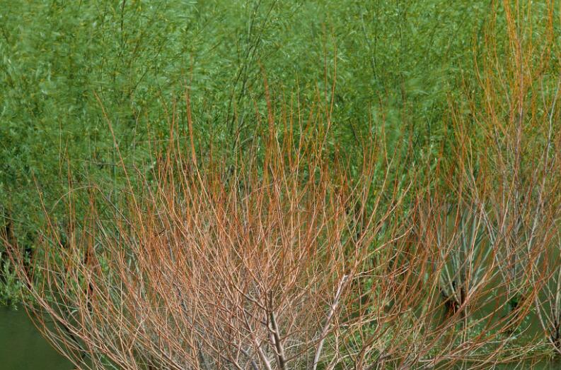 名人名言短句大全摘抄