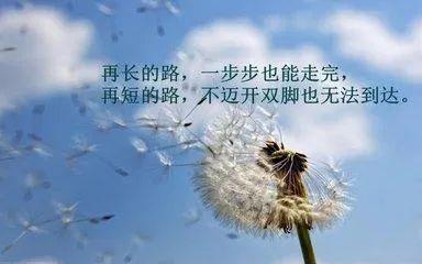 关于人生的名言名句文案