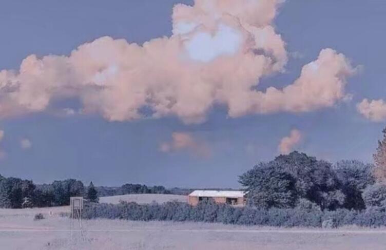 找到喜欢的东西语录文案