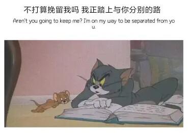 经常说我高冷说说文案