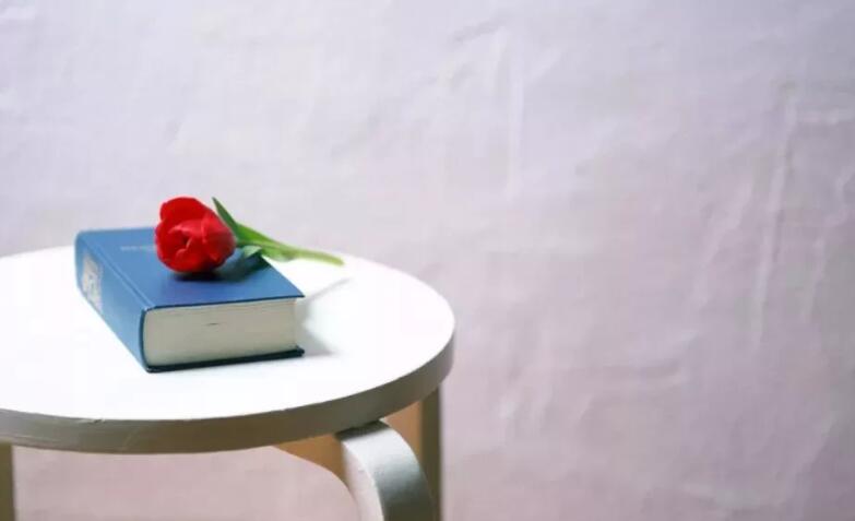 既幽默又有哲理的句子文案