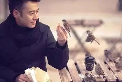 男人的经典句子文案