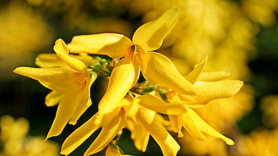 个性签名女生霸气简短