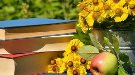 有关努力的唯美句子文案