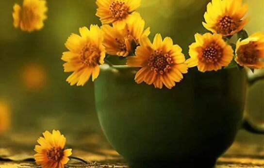 每日早安正能量短句早安图片