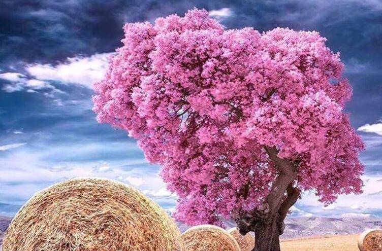 关于人生的经典语录文案