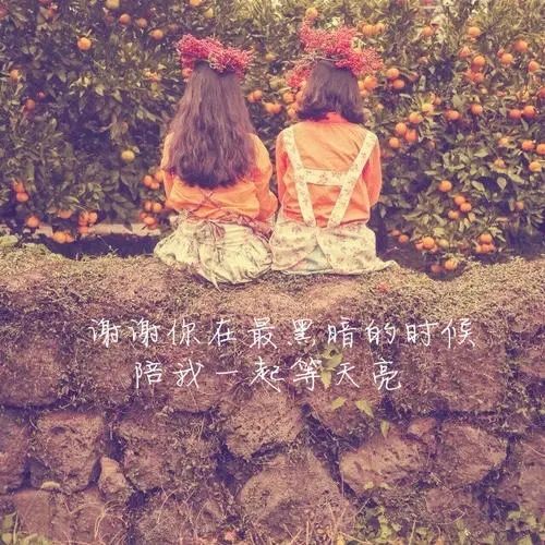 陪伴的简短唯美句子文案