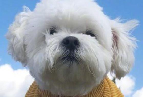 励志语录文案正能量短句