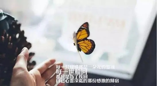 没有人陪伴的句子文案说说心情